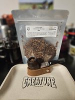 1000043453.jpg 1000043453.jpg