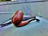 IMG_0586.jpeg IMG_0586.jpeg