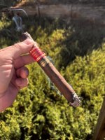 IMG_8810.jpeg IMG_8810.jpeg