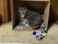 Suzy_Box1.jpg Suzy_Box1.jpg