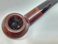 GBD_9241_Beau_Nash__Update (3).jpg