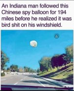 birdshit.jpg birdshit.jpg