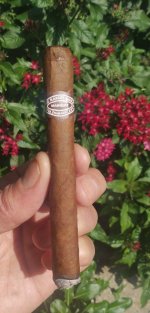 Raphael Gonzales.jpg