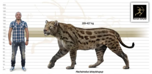 Screenshot 2025-09-18 at 7.47.22 PM.png