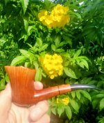 Castello CGL Garden.jpg