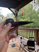 IMG_3706.jpg IMG_3706.jpg