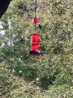 IMG_3707.jpg IMG_3707.jpg