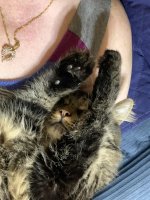 Harry_Heidi HoldClose1.jpg