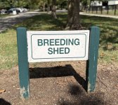 IMG_5315.jpeg IMG_5315.jpeg