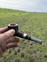 IMG_3783.jpeg IMG_3783.jpeg