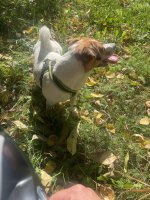 IMG_5695.jpeg IMG_5695.jpeg