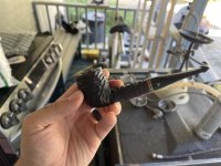 IMG_7762.jpeg IMG_7762.jpeg