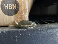 IMG_7761.jpeg IMG_7761.jpeg