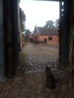 Miss Euphemia Behuildy.jpg