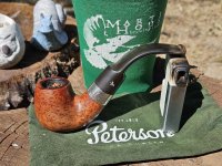 1000036517.jpg 1000036517.jpg