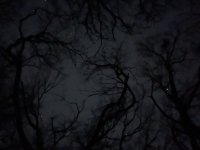 IMG_6134.jpeg IMG_6134.jpeg