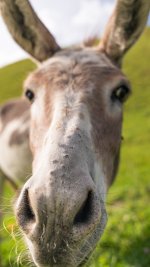 DSC00928-Enhanced-NR-2.jpg DSC00928-Enhanced-NR-2.jpg