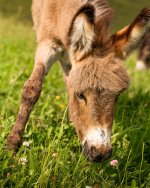 DSC00926-Enhanced-NR-Edit.jpg DSC00926-Enhanced-NR-Edit.jpg