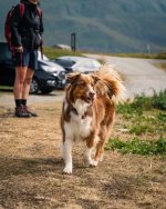 DSC01010-Enhanced-NR.jpg DSC01010-Enhanced-NR.jpg