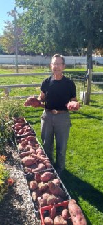 IMG_20251020_122220.jpg IMG_20251020_122220.jpg