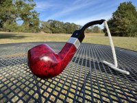 IMG_5655.jpeg IMG_5655.jpeg