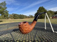 IMG_5663.jpeg IMG_5663.jpeg