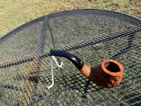 IMG_5665.jpeg IMG_5665.jpeg