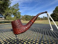 IMG_5668.jpeg IMG_5668.jpeg