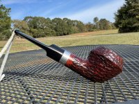 IMG_5677.jpeg IMG_5677.jpeg