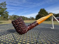 IMG_5681.jpeg IMG_5681.jpeg