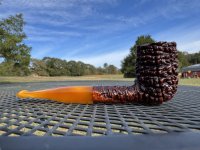 IMG_5682.jpeg IMG_5682.jpeg