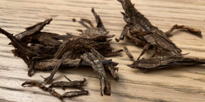 1761469569128.png 1761469569128.png