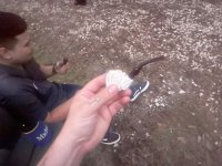 IMG_8086.jpeg IMG_8086.jpeg