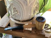 IMG_3896.jpeg IMG_3896.jpeg