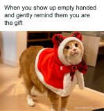 Christmas-memes-34-675154b166b61__700.jpg