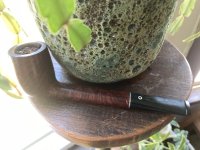 IMG_3905.jpeg IMG_3905.jpeg