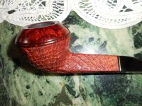 Morel Bull Tan 2.JPG