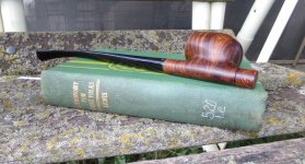 Astronomy for Young Folks Isabel Martin Lewis 1928 (1).JPG