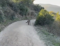 Screenshot 2025-11-06 at 5.36.19 PM.png