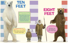 Screenshot 2025-11-07 at 6.19.19 PM.png