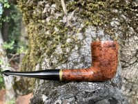 IMG_1501.jpeg IMG_1501.jpeg