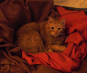 Screenshot 2025-11-10 at 11.18.36 PM.png