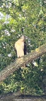 Screenshot 2025-08-30 at 9.42.02 PM.jpeg