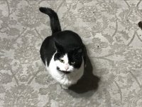 DaisyLooks_Me.jpg DaisyLooks_Me.jpg