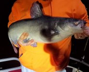 IMG_20251118_115427(1).jpg IMG_20251118_115427(1).jpg