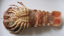 Screenshot 2025-12-03 at 5.28.31 PM.png Screenshot 2025-12-03 at 5.28.31 PM.png