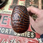 IMG_6919.jpeg IMG_6919.jpeg