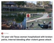 Screenshot 2025-12-05 at 11.49.24 AM.png