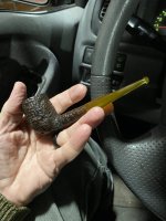 IMG_2031.jpeg IMG_2031.jpeg