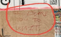 IMG_6175.jpeg IMG_6175.jpeg